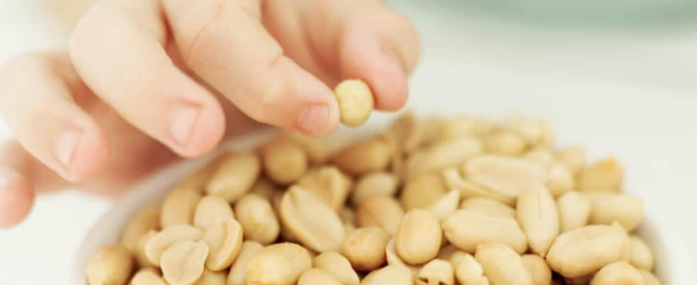 Prévention de l’allergie aux arachides